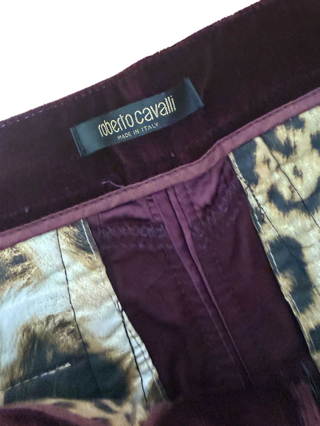 Roberto Cavalli Fall 2004 Velvet Capris